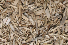 biomass boilers Llangristiolus