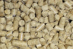 Llangristiolus biomass boiler costs